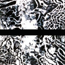 intellect-2x-50x50-acryl