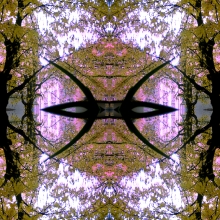 09-10-27-m-8