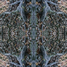 10-10-04-m-5