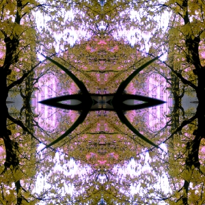 09-10-27-m-8