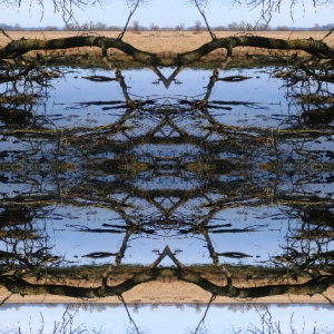 10-02-27-m-8