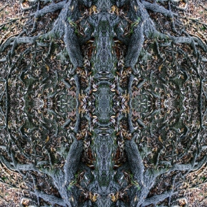 10-10-04-m-5